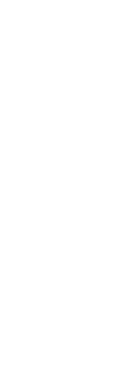 top-item34